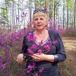 ���� �������� �������, ��������������� - ��������� 18 ������ 2014