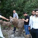 ���� Shamshir, ���� - ��������� 21 ������� 2013 � ������ ���� ����������