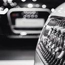 ���� Beluardo, ������, 44 ���� - ��������� 12 ������� 2014 � ������ ������
