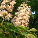 ���� ����, ������, 64 ���� - ��������� 12 ������ 2014 � ������ ���� ����������