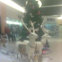 ���� �������, �����, 50 ��� - ��������� 16 ������� 2013 � ������ ��������