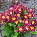 �������