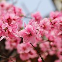 ���� ������, �����-���������, 61 ��� - ��������� 31 ������� 2013 � ������ ������� ������ 2013�