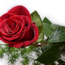 ���� �����, ������� - ��������� 14 ������� 2013 � ������ ���� ����������