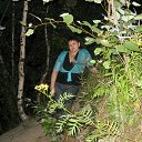 ���� �������, �����-���������, 51 ��� - ��������� 1 �������� 2013 � ������ ���� ����������