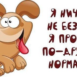 ���� �����, �����, 43 ���� - ��������� 19 �������� 2013