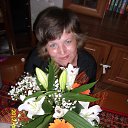 ���� �������, ����-������, 49 ��� - ��������� 8 ������� 2013 � ������ ���� ����������