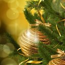 ���� ����, ������, 56 ��� - ��������� 6 ������� 2013 � ������ ������ ��������