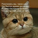 ���� ���� (���� � ������), ������ �������� - ��������� 9 ����� 2014 � ������ ���� ����������