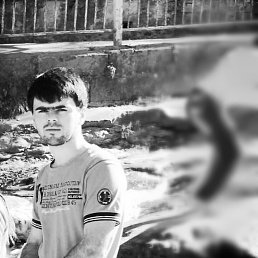 ���� ����, ���������, 34 ���� - ��������� 8 ������� 2014