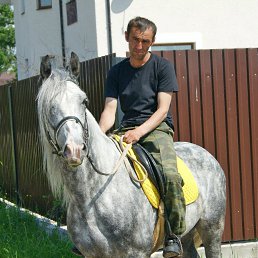 �������, �����-���������, 49 ���