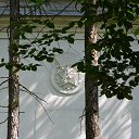 ���� ����, ����, 43 ���� - ��������� 25 ������� 2013 � ������ ����������