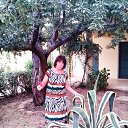 ���� �������, ������ - ��������� 31 ������� 2013 � ������ ���� ����������