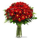 ���� �����, ����������� - ��������� 6 ����� 2014 � ������ ������ ��������