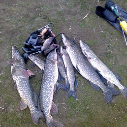 ���� ��������, ����������, 60 ��� - ��������� 31 ������� 2013