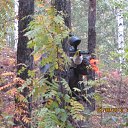 ���� �������, ������������, 45 ��� - ��������� 24 �������� 2013 � ������ ���� ����������