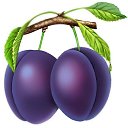 ���� Yuri, �������������-����������, 52 ���� - ��������� 28 �������� 2013