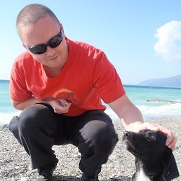 �����, ������, 41 ���