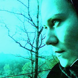 �����, ���������, 41 ���