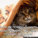 ���� �������, �����������, 51 ��� - ��������� 20 ������� 2013 � ������ ������ ��������
