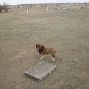 ���� O�����, �����������, 52 ���� - ��������� 12 ����� 2014 � ������ ������ ��������