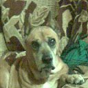 ���� ,����,, �� 105 ������, ������-��-���� - ��������� 16 ������� 2013 � ������ �������