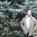 ���� ������, �����, 62 ���� - ��������� 13 ������ 2014 � ������ ���� ����������