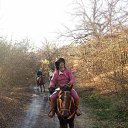 ���� ��������, �����, 72 ���� - ��������� 4 ������� 2013 � ������ ���� ����������