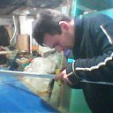 ���� ��������, ������, 46 ��� - ��������� 1 �������� 2013 � ������ ���� ������