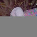 ���� �������, ������, 72 ���� - ��������� 10 ������ 2014 � ������ ���� ����������