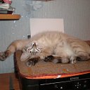 ���� Sergey Vlasov, �����-���������, 45 ��� - ��������� 6 ������� 2013 � ������ ���� ��������� ����� ������