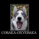 ���� �����, ������, 54 ���� - ��������� 25 ������� 2014 � ������ �DeMotivator�