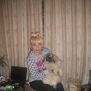 ���� ������ �����������, ������, 61 ��� - ��������� 19 ������ 2013 � ������ ���� ����������