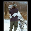 ���� ��� 0007, ���, 38 ��� - ��������� 3 ������ 2013 � ������ ���� ����������