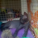  2 (), , 39  -  28  2013    