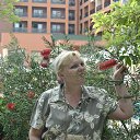 �����- ��� �������� �� ������� ������������� �������