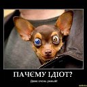 ���� ����, ����, 43 ���� - ��������� 30 �������� 2013 � ������ ���� ����������