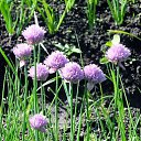 ���� �������, ��������� - ��������� 15 ������ 2014 � ������ ���� ����������