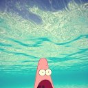 ���� ����, �����-��������� - ��������� 6 ������� 2013 � ������ ���� ����������