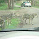 ����� �� ������� ���� ����������