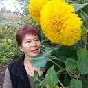 ���� ����, �������� - ��������� 7 ������� 2013 � ������ ���� ����������