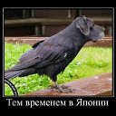 ���� �������, ������������ - ��������� 2 ������� 2014