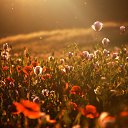 ���� �����, ��������, 38 ��� - ��������� 15 ������ 2013 � ������ ����� ��� ����))))�