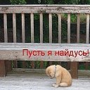 ��� ����, ��� ������... �� ������� ���� ����������