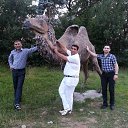 ���� Shamshir, ���� - ��������� 21 ������� 2013 � ������ ���� ����������