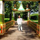 ���� �������, �����-���������, 67 ��� - ��������� 10 ������� 2013