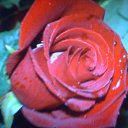 ���� ?Rjo, ������-����, 63 ���� - ��������� 8 ������ 2013 � ������ ���� ����������