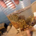 ���� << �����, ���������, 35 ��� - ��������� 2 ������� 2013 � ������ ���� ����������