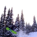 ���� ���������, �����������, 40 ��� - ��������� 24 ������� 2013 � ������ ���� ����������