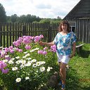 ���� ������, ����� - ��������� 6 ������� 2013 � ������ ���� ����������